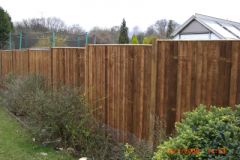 Closeboard panels on timber post